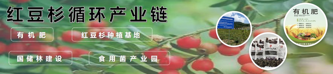 米乐m6官网(中国)官方登录入口